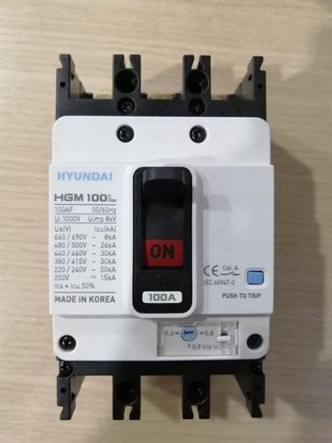 MCCB HYUNDAI 3P 40A 30kA ( HGM100L-F )